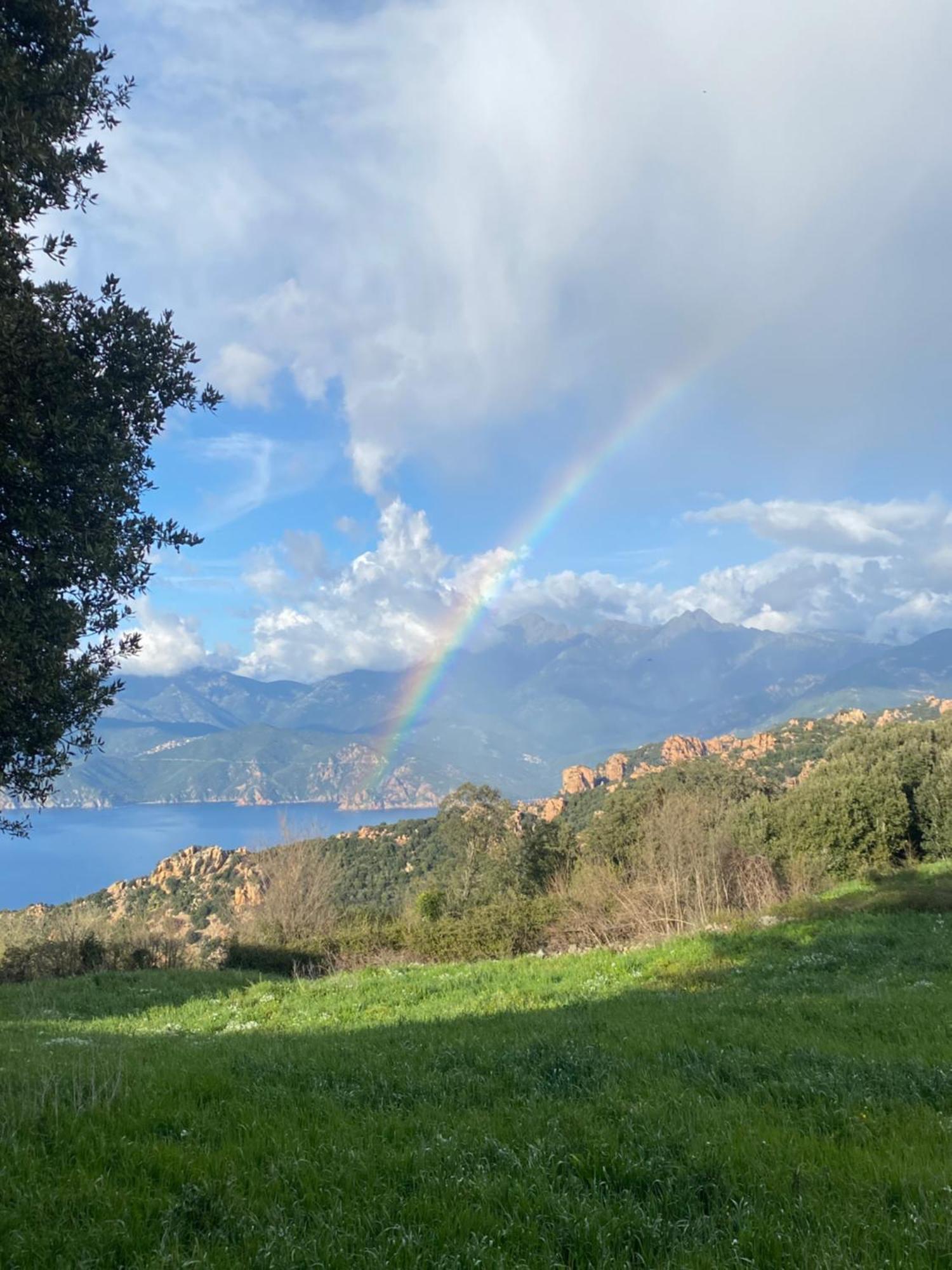 Piana - Vue Mer Et Village Extérieur photo